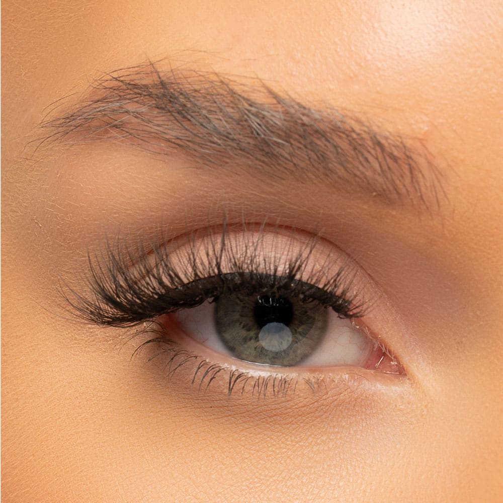 Eye Candy False Lashes Posy